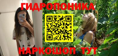 индика Апрелевка