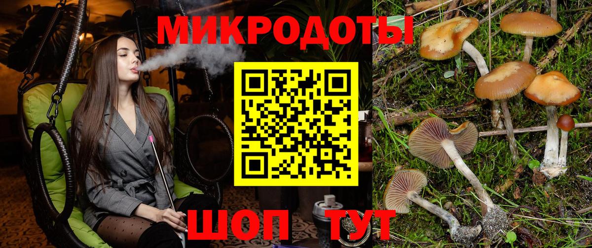 Галлюциногенные грибы Psilocybe Берёзовский