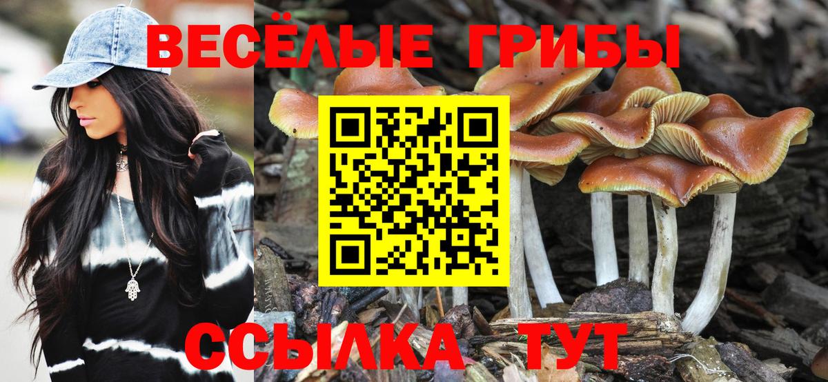Берёзовский  Псилоцибиновые грибы GOLDEN TEACHER  Вход с VPN 