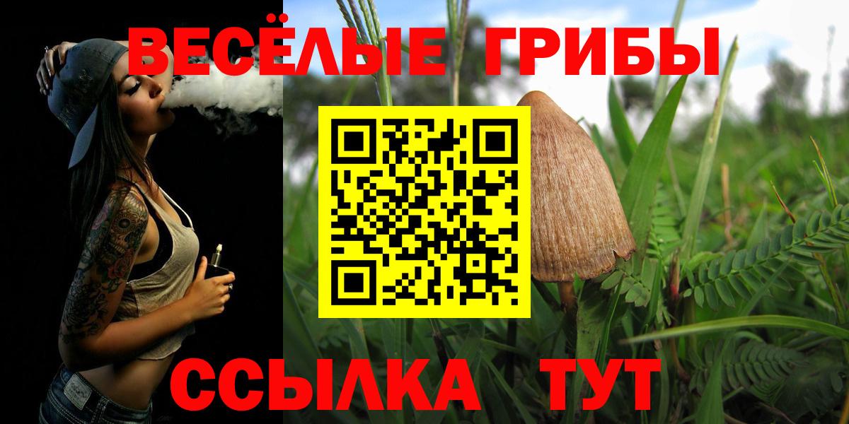 Галлюциногенные грибы Psilocybine cubensis  Берёзовский 