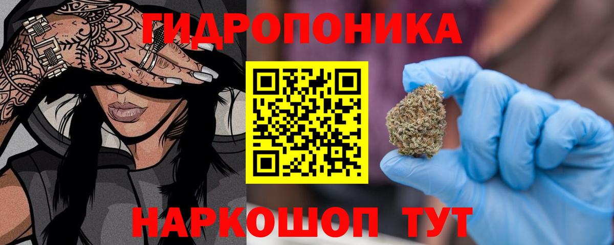 Берёзовский  Конопля гибрид  Бошки марихуана тримм  Конопля OG Kush  Вход с VPN  Каннабис OG Kush 